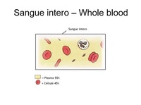 Italy - CLIL Lesson on Blood