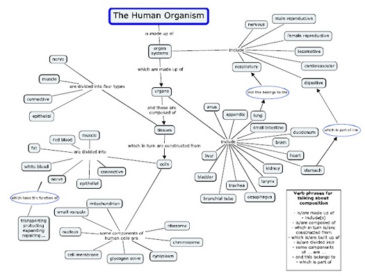[/userfiles/files/technoclil-mapping-human-organism.jpg]